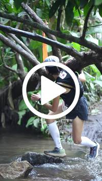 BIB:  <button type="button" onclick="openModal(27809031)" class="btn btn-primary btn-sm float-right" data-toggle="modal" data-target=".modal-high-quality">
                <i class="fa fa-download"></i> Download
                </button>